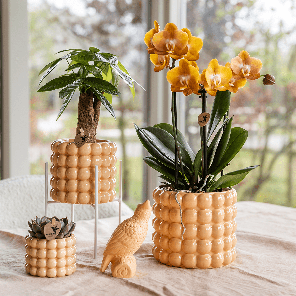 Ziertopf Poppy – Peach – Ø9cm – Moderner Keramik Blumentopf in glänzendem Pfirsichton – Stilvoller Übertopf für Zimmerpflanzen, Sukkulenten & Orchideen-2