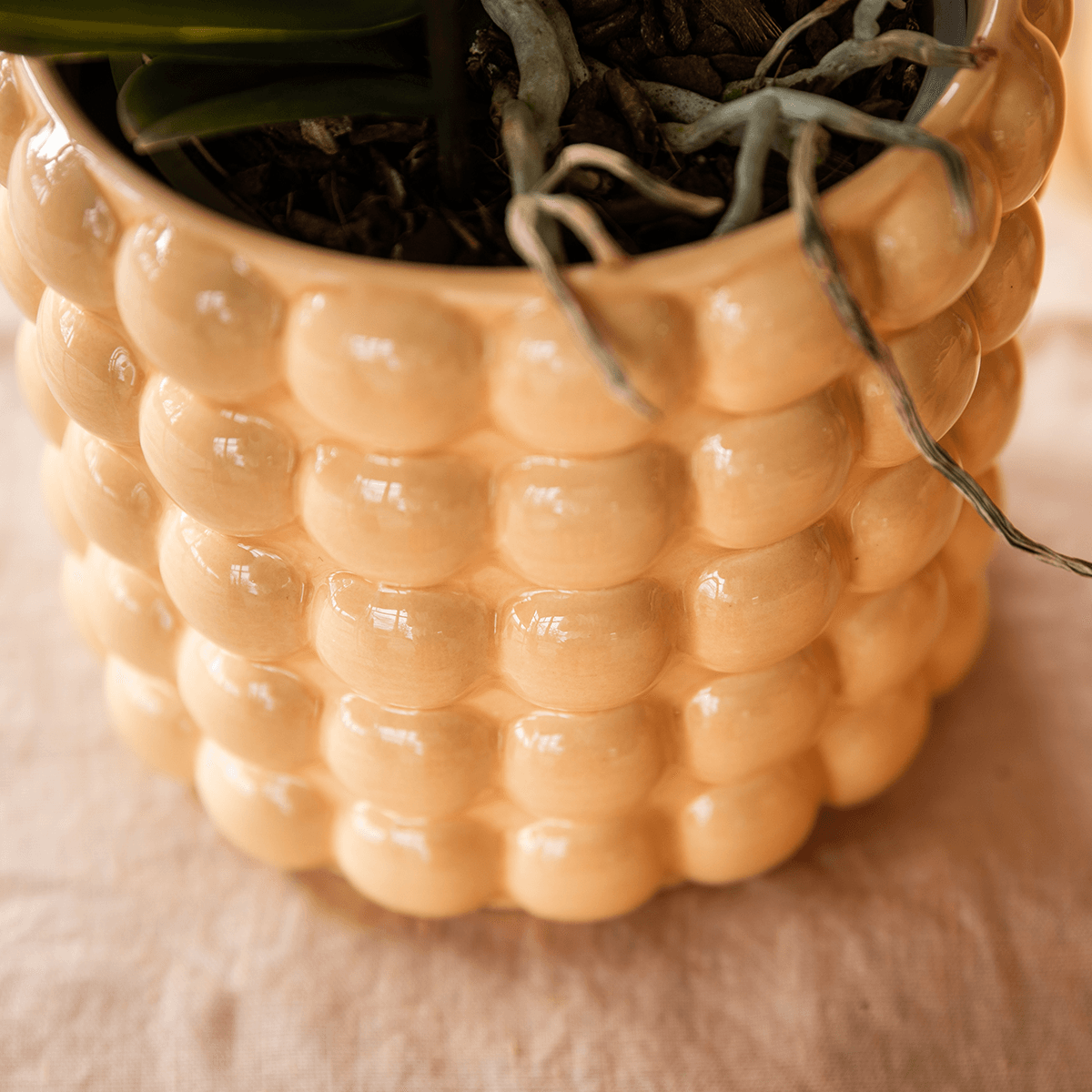 Ziertopf Poppy – Peach – Ø9cm – Moderner Keramik Blumentopf in glänzendem Pfirsichton – Stilvoller Übertopf für Zimmerpflanzen, Sukkulenten & Orchideen-3