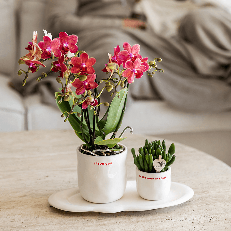 Ziertopf I Love You – Ø9cm – Weißer Keramiktopf mit rotem Schriftzug – Romantischer Blumentopf als Geschenkidee-1