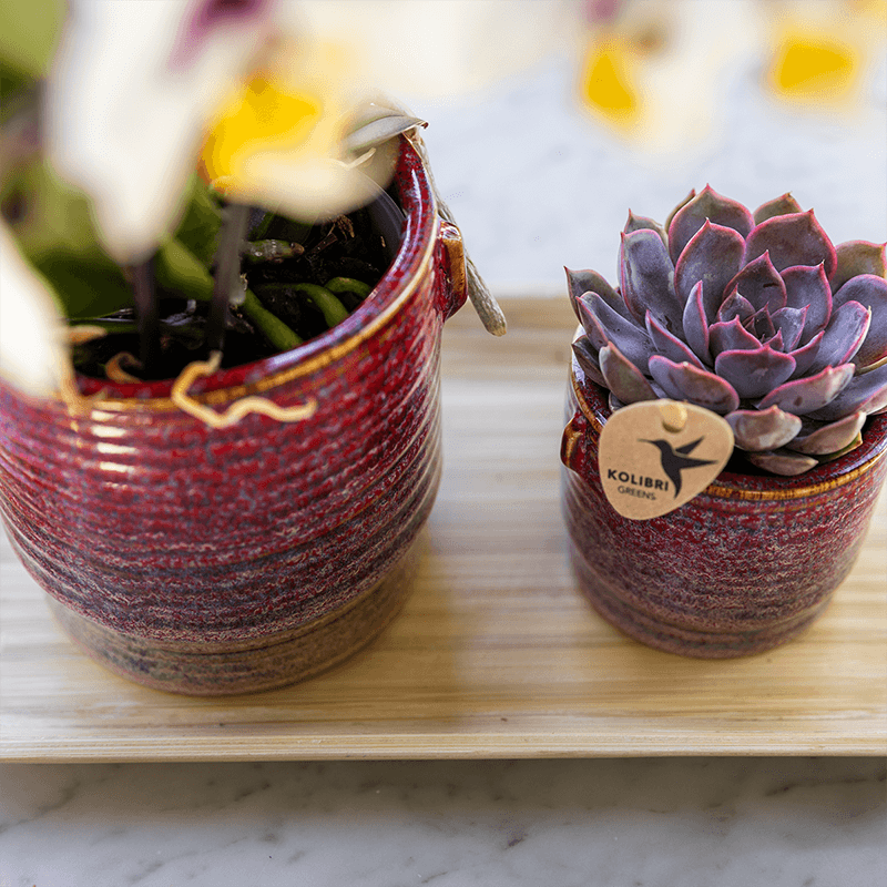Aura Pflanztopf – Ø9cm – Retro Blumentopf im Bold Seventies Stil – Keramik Übertopf mit Henkeln – Dekorativer Blumentopf für Zimmerpflanzen-1