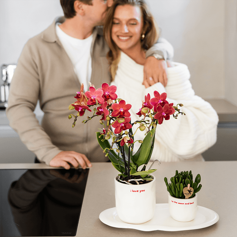 Ziertopf I Love You – Ø9cm – Weißer Keramiktopf mit rotem Schriftzug – Romantischer Blumentopf als Geschenkidee-2