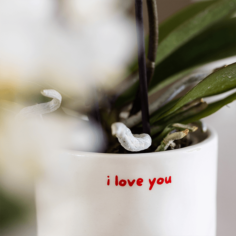 Ziertopf I Love You – Ø9cm – Weißer Keramiktopf mit rotem Schriftzug – Romantischer Blumentopf als Geschenkidee-3