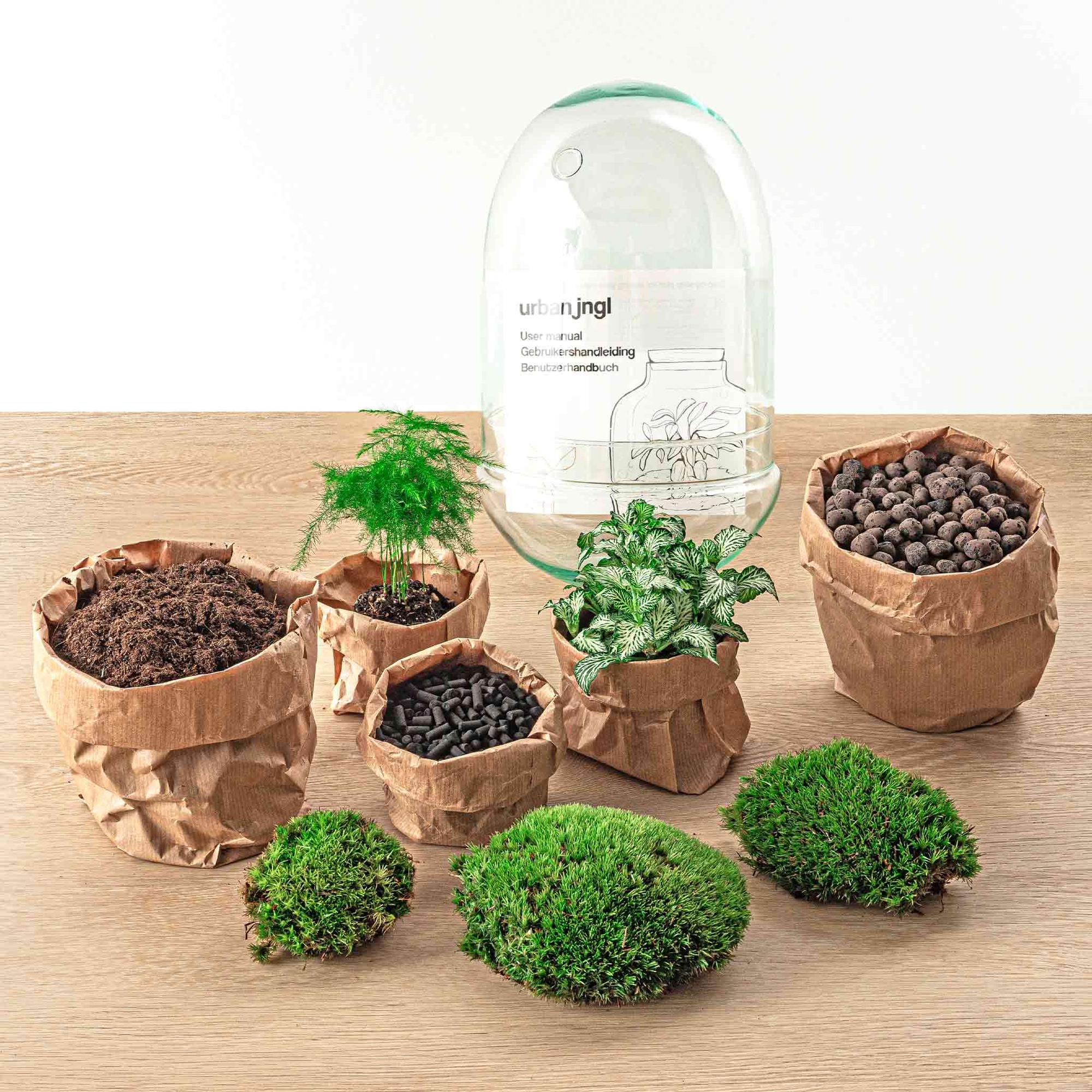 Flaschengarten Egg XL – DIY Bausatz Terrarium – ↕30cm – Do – It – Yourself Pflanzen – Set im Glas mit Korkdeckel – Autarkes Mini – Ökosystem