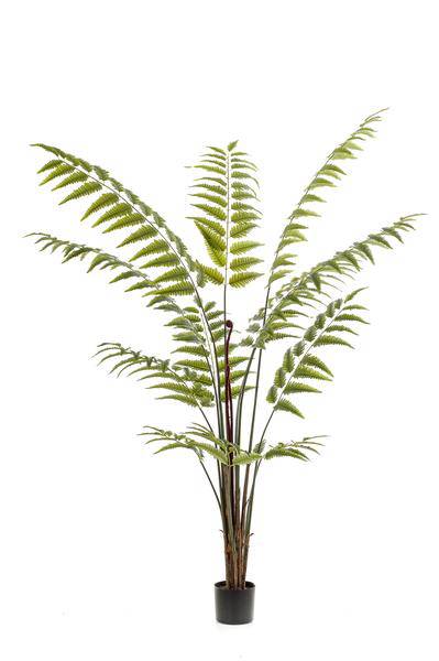 Kunstpflanze Rumohra Adiantiformis ↕180cm – künstliche Grünpflanze für Wohnzimmer, Büro, Flur & pflegeleichte Deko