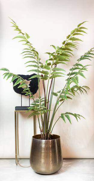 Kunstpflanze Rumohra Adiantiformis ↕180cm – künstliche Grünpflanze für Wohnzimmer, Büro, Flur & pflegeleichte Deko